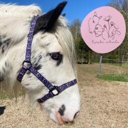 Ohlávka Tajemné houbičky